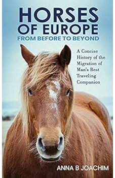 Horses of Europe From Before to Beyond
